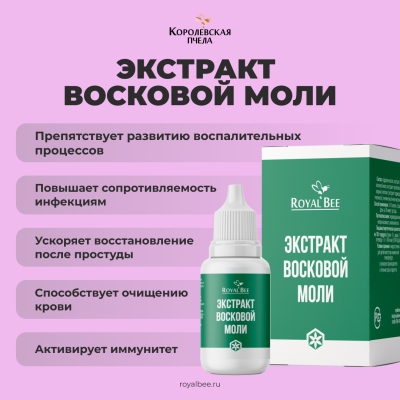 BOX "СТАРТОВЫЙ №2"